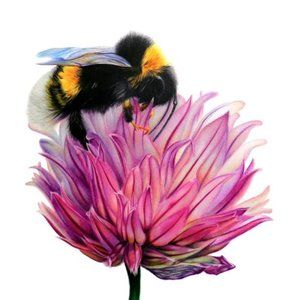 Meet your Posher, The Bitchin' B